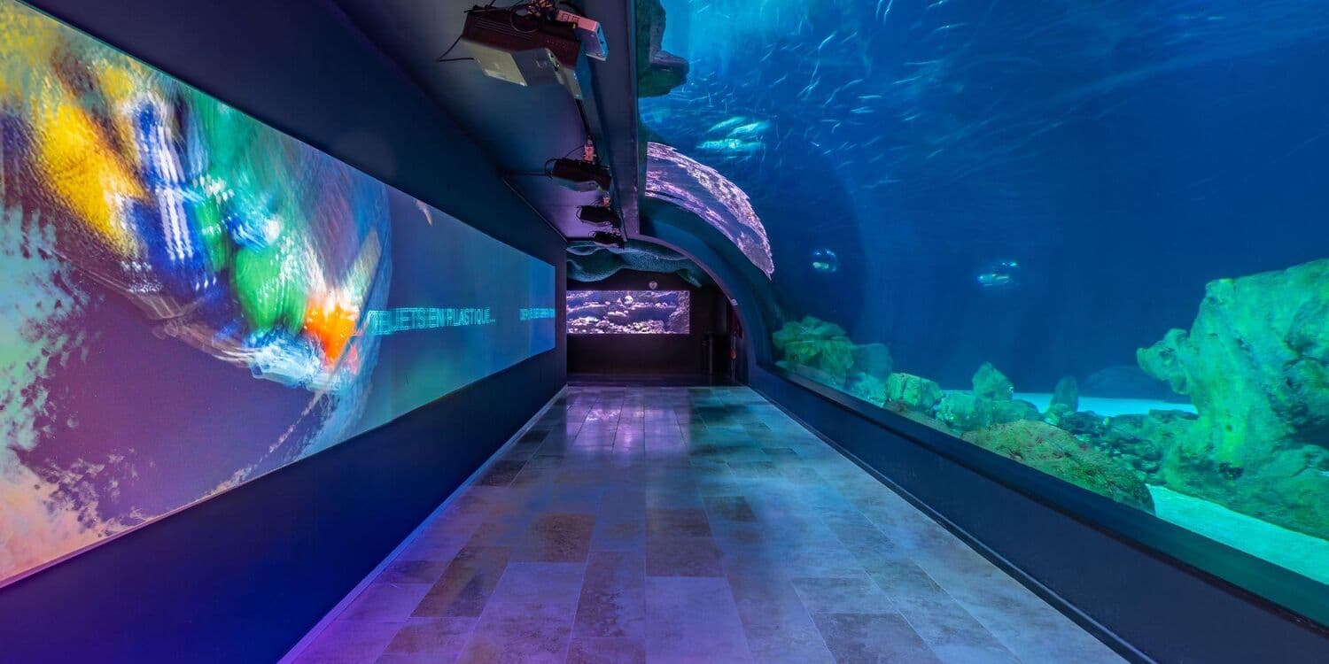 Mermaid Shows & Aquatic Cinema